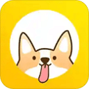 麻花视频纯净版免费官方版